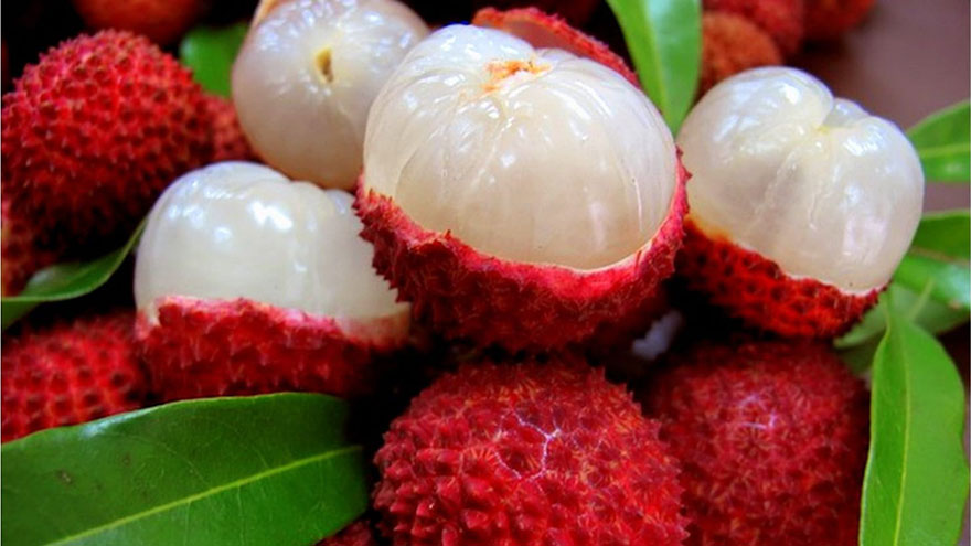 lychee fruit